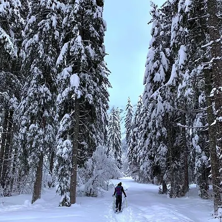 La Casa Di Carmen شقة